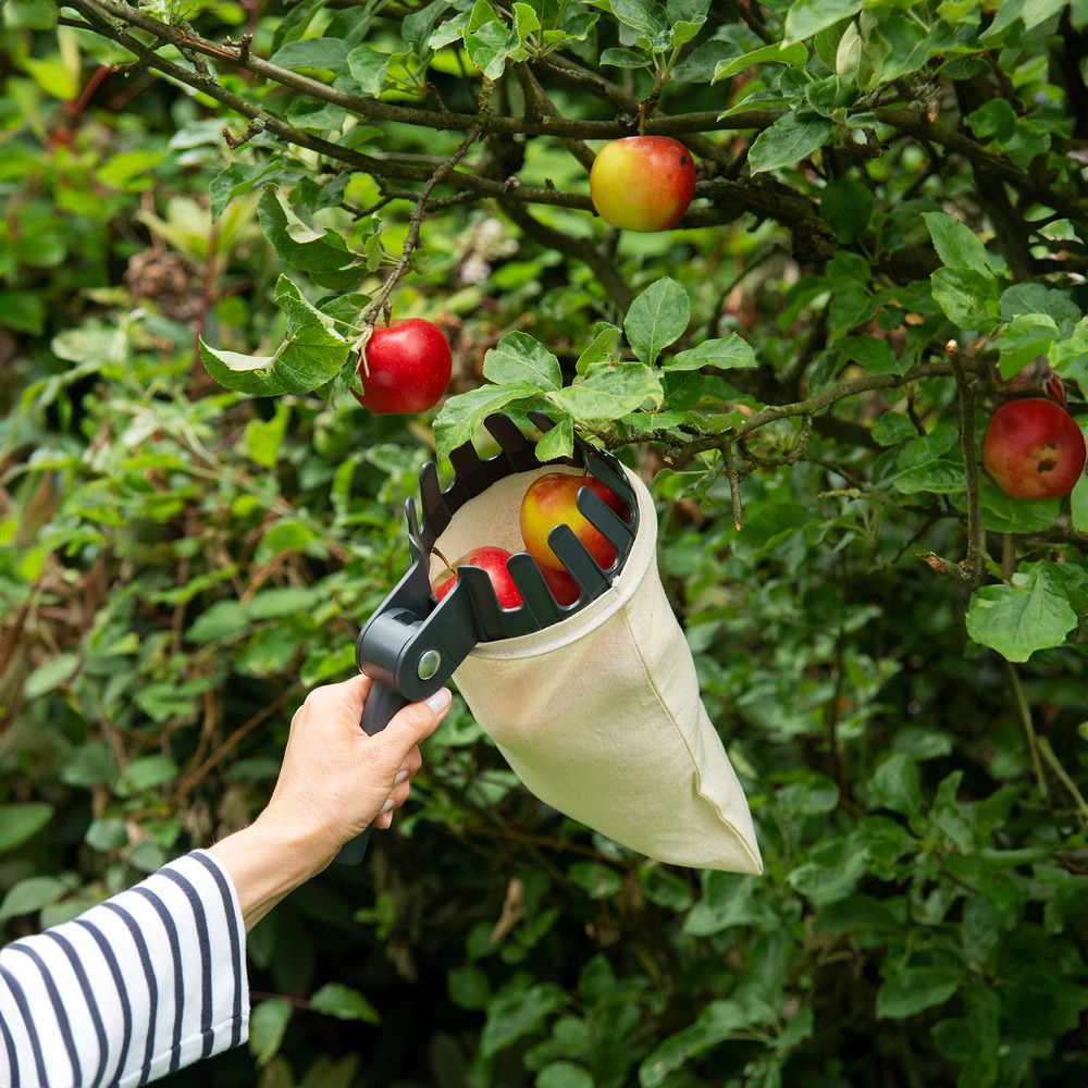 Obstsammler XL mit Teleskopstiel  270º-Knickgelenk