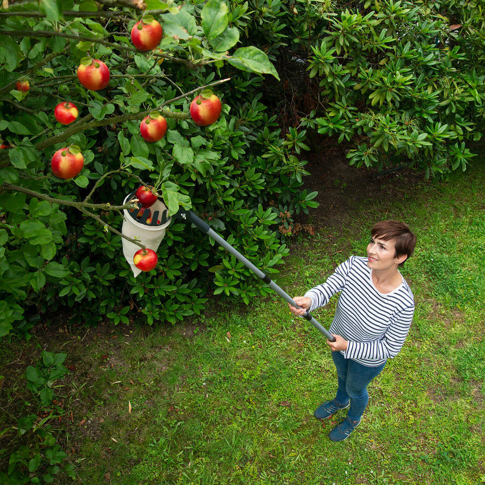 Obstsammler XL mit Teleskopstiel  270º-Knickgelenk